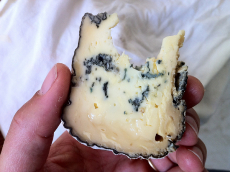 photo by Louella Hill