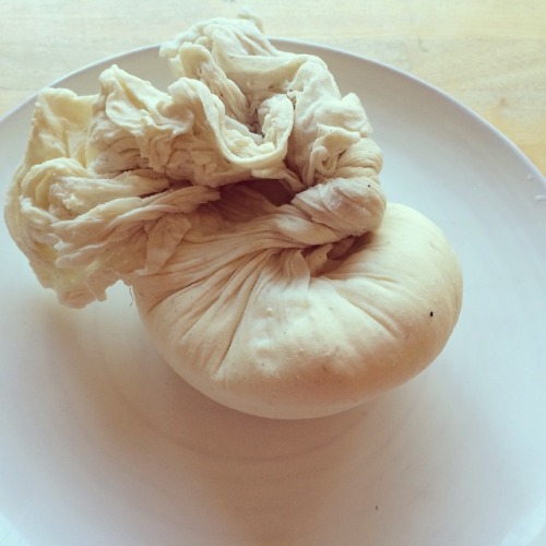 photo by Louella Hill