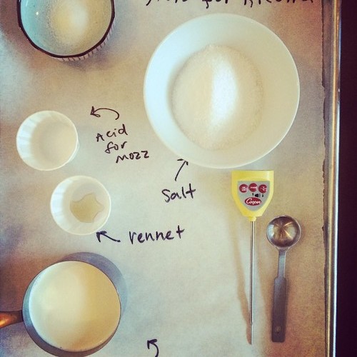 photo by Louella Hill