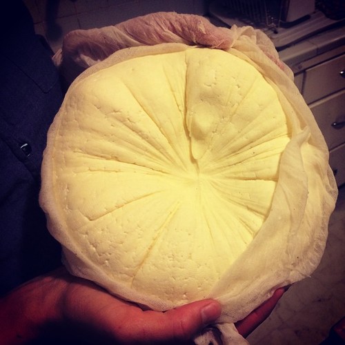 photo by Louella Hill