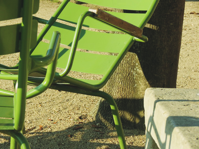 wild-cherry-tree-tuileries