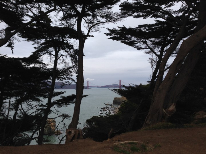 cypress-golden-gate-bridge