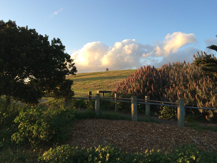 berkeley-marina-foothills
