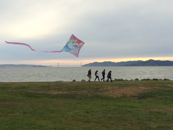 berkeley-marina-kite